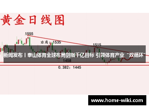 新闻发布丨泰山体育全球布局剑指千亿目标 引领体育产业“双循环”
