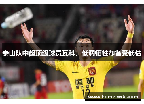 泰山队中超顶级球员瓦科，低调牺牲却备受低估